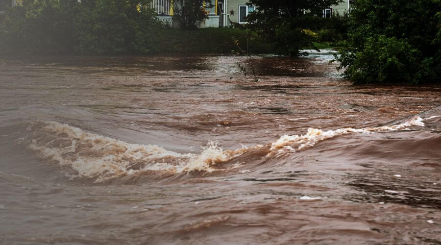 Why choose water damage restoration service for commercial flood cleanup in Paterson